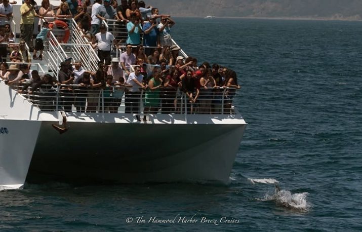 long beach bay cruise